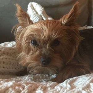 Meet your Posher, Tara